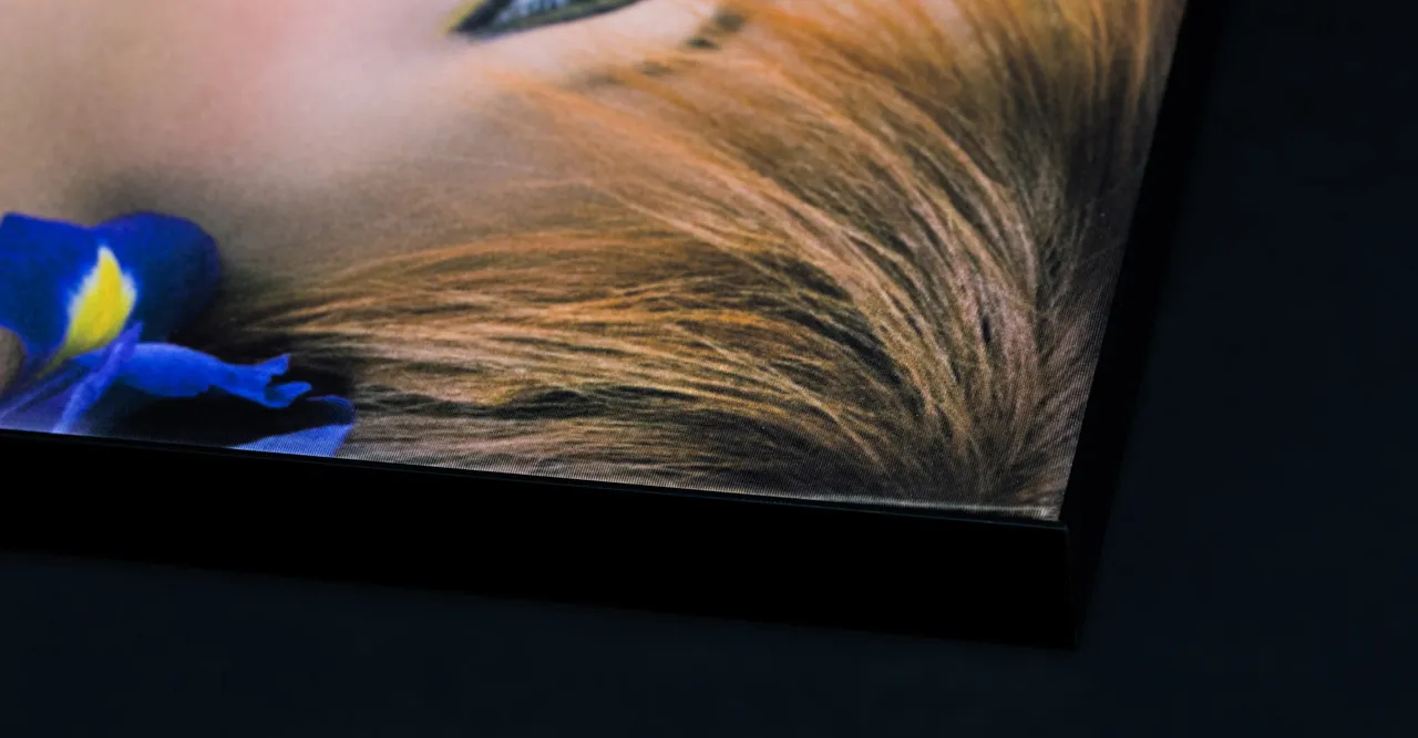 Lightbox_Fabric_Product_3